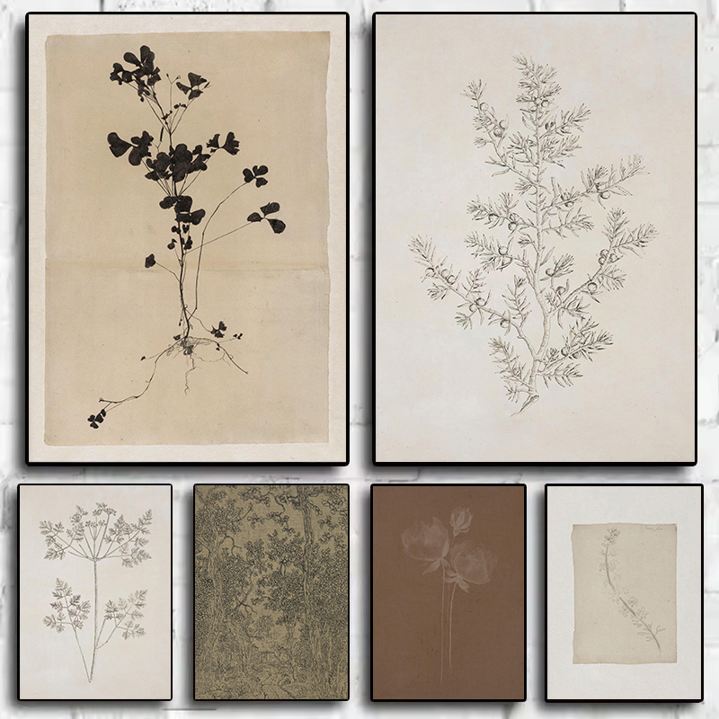 Interior Design Sketch - Vintage Minimalist Olive Branch Drawing Botanical